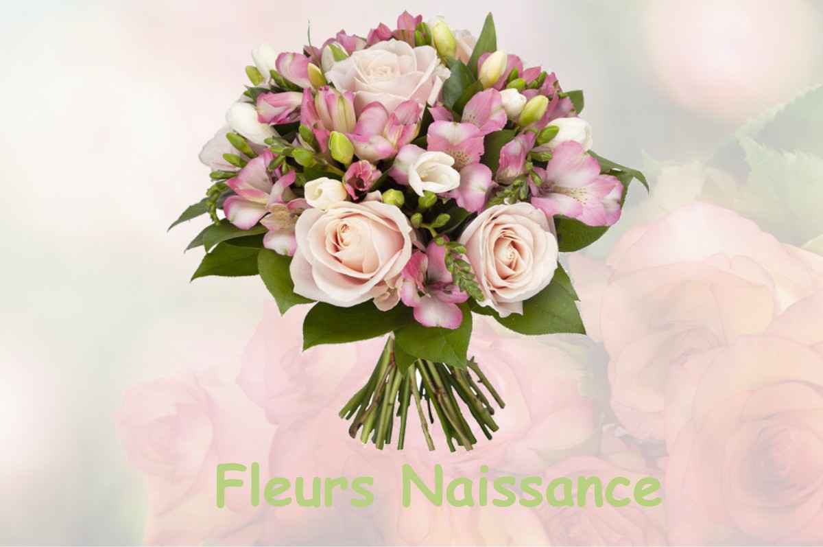 fleurs naissance PASSINS