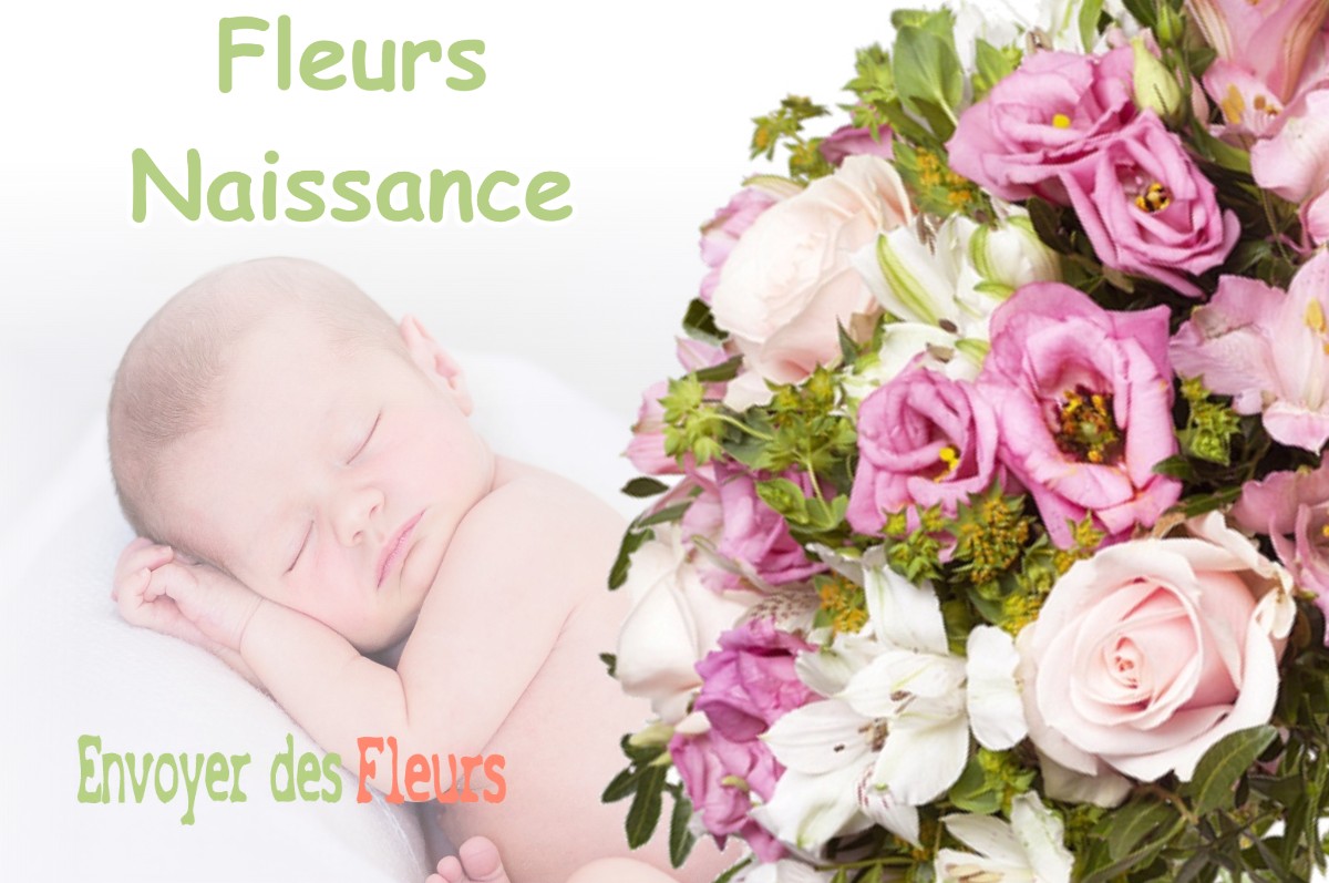 lIVRAISON FLEURS NAISSANCE à PASSINS